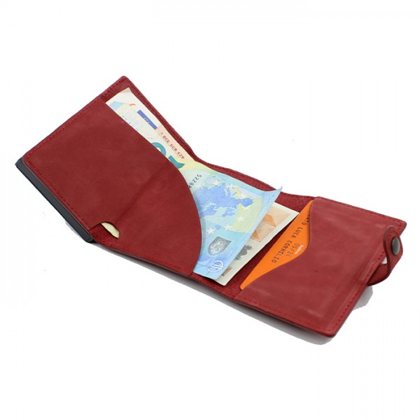 Kjøre Project Automatic Red Saldi