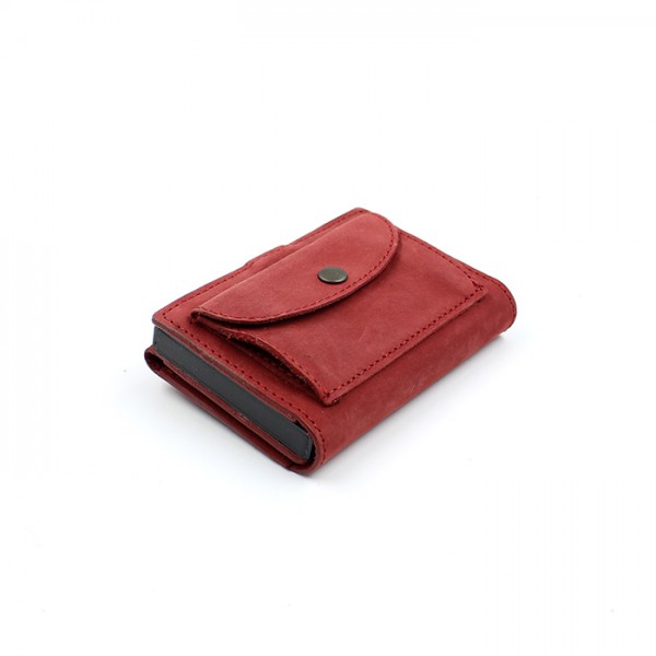 Kjøre Project Automatic Red Saldi