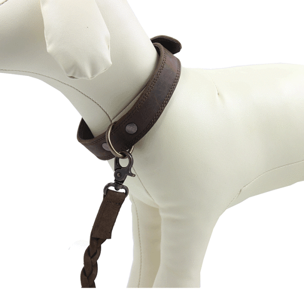 Kjøre Project Leather Dog Collar & Leash Sottocosto