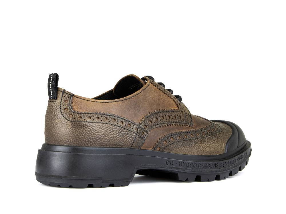 ﻿Pezzol 1951 TECHNO CLASSIC LO 08 2025