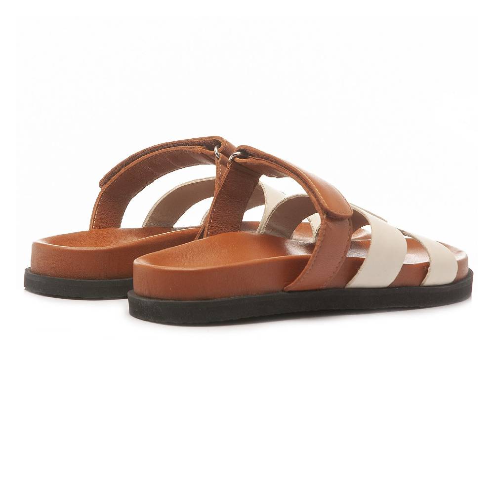 Mosaic TAN Economico