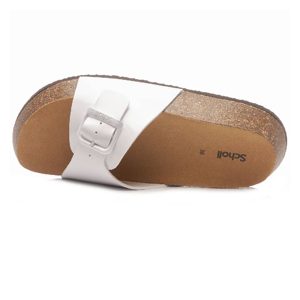Scholl Kathleen F31147 1065 380 Presa