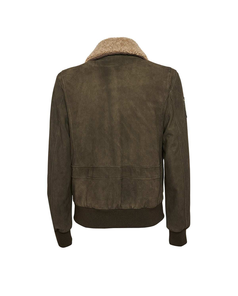 Stewart TORNADO-CHEVRETTE SKIN REMOVABLE COLLAR Prezzo Ridotto