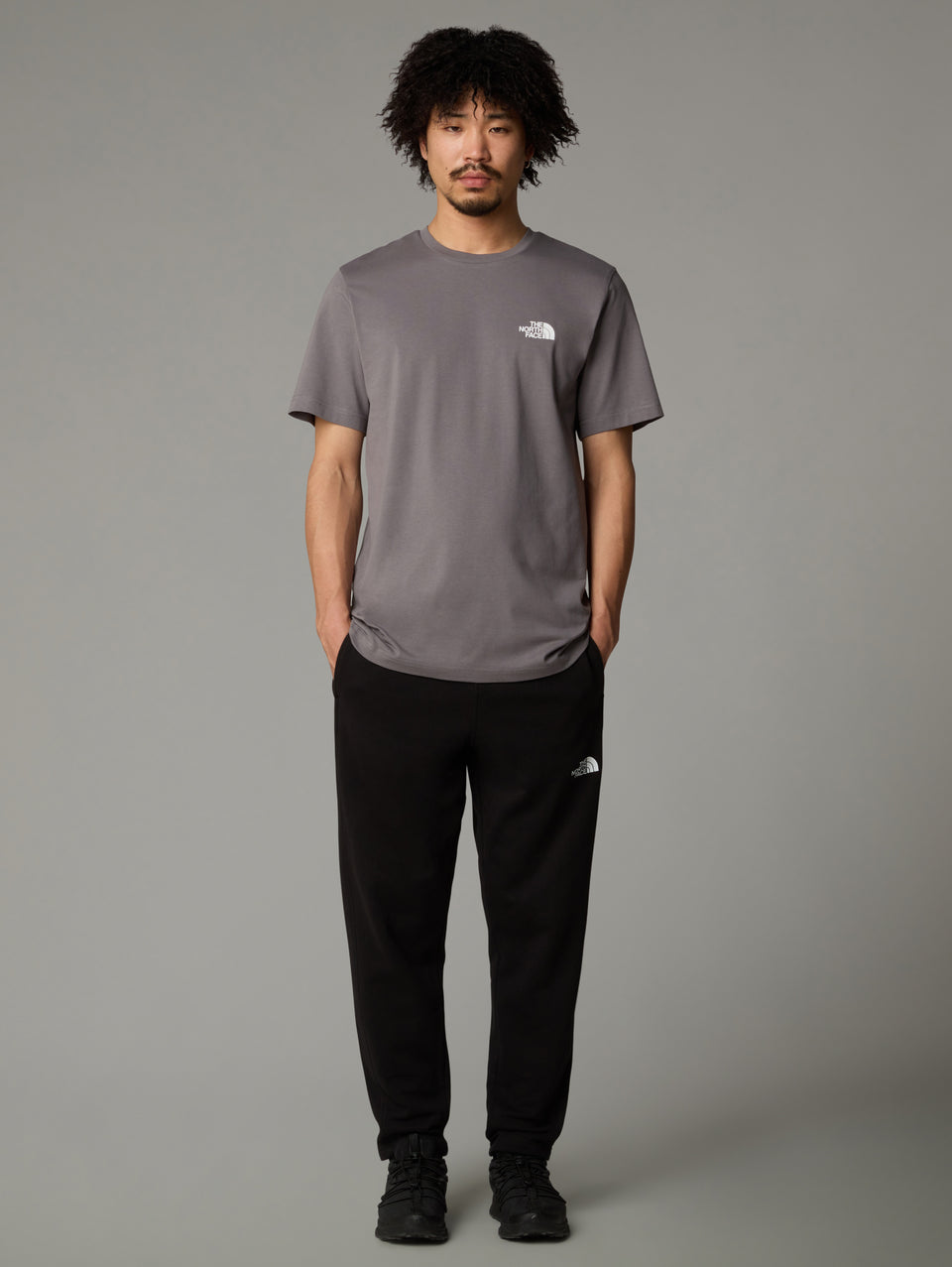 THE NORTH FACE T-shirt Regular Fit con Logo Grigio Presa