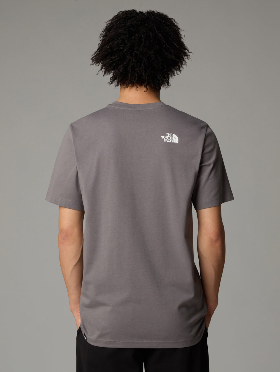 THE NORTH FACE T-shirt Regular Fit con Logo Grigio Presa